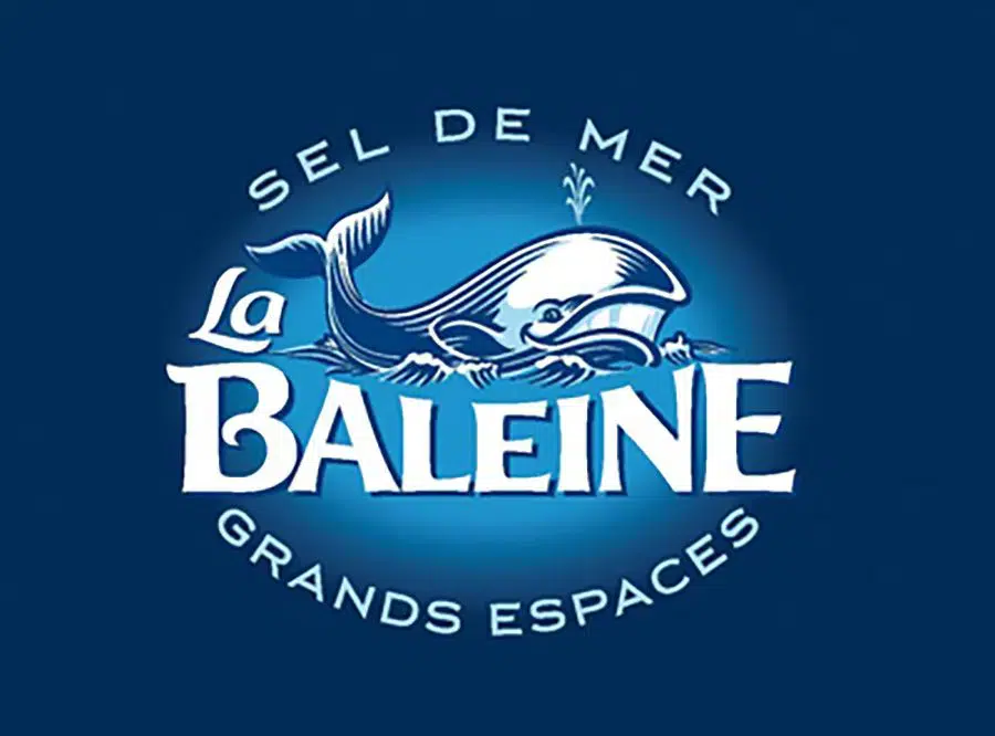 ZOO-LOGO #01 : l’aigle et la baleine